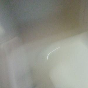 Meet your Posher, Wanda